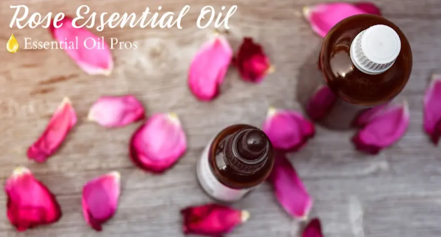 Rose oil
