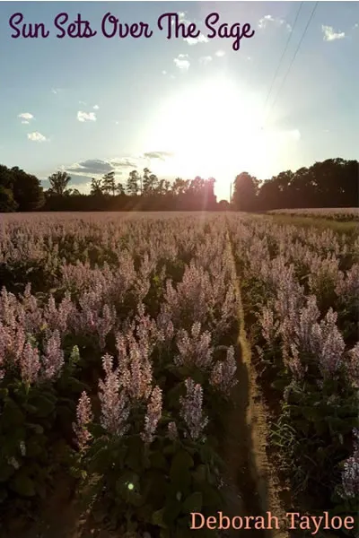 clary sage