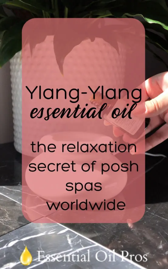 ylang ylang